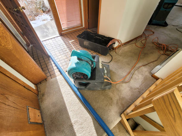 Water damage restoration mold remediation in Lavonia, GA