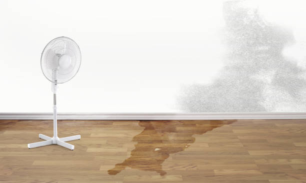 Lavonia, GA Water damage restoration Company