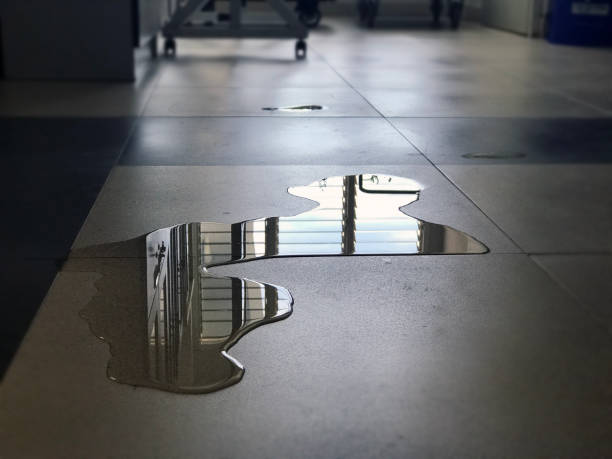 Best Professional water damage repair  in Lavonia, GA