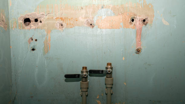 Best Emergency water damage restoration  in Lavonia, GA