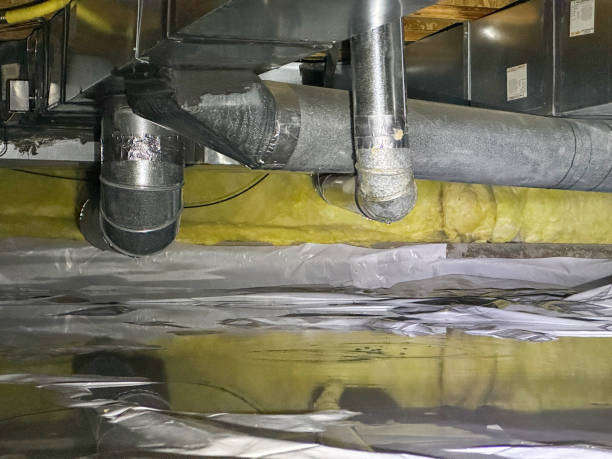 Best Flooded house restoration  in Lavonia, GA