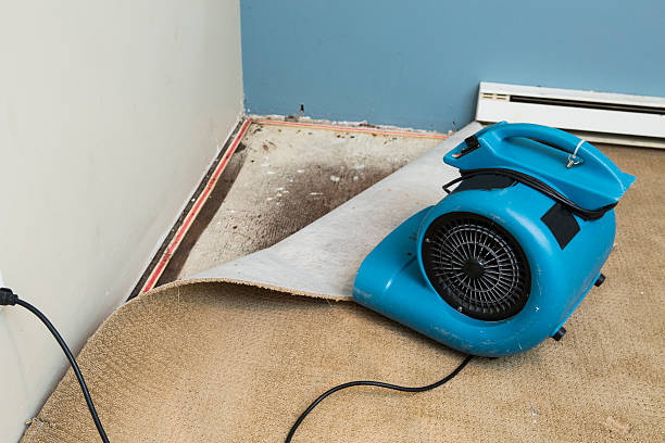 Best Local water damage restoration  in Lavonia, GA